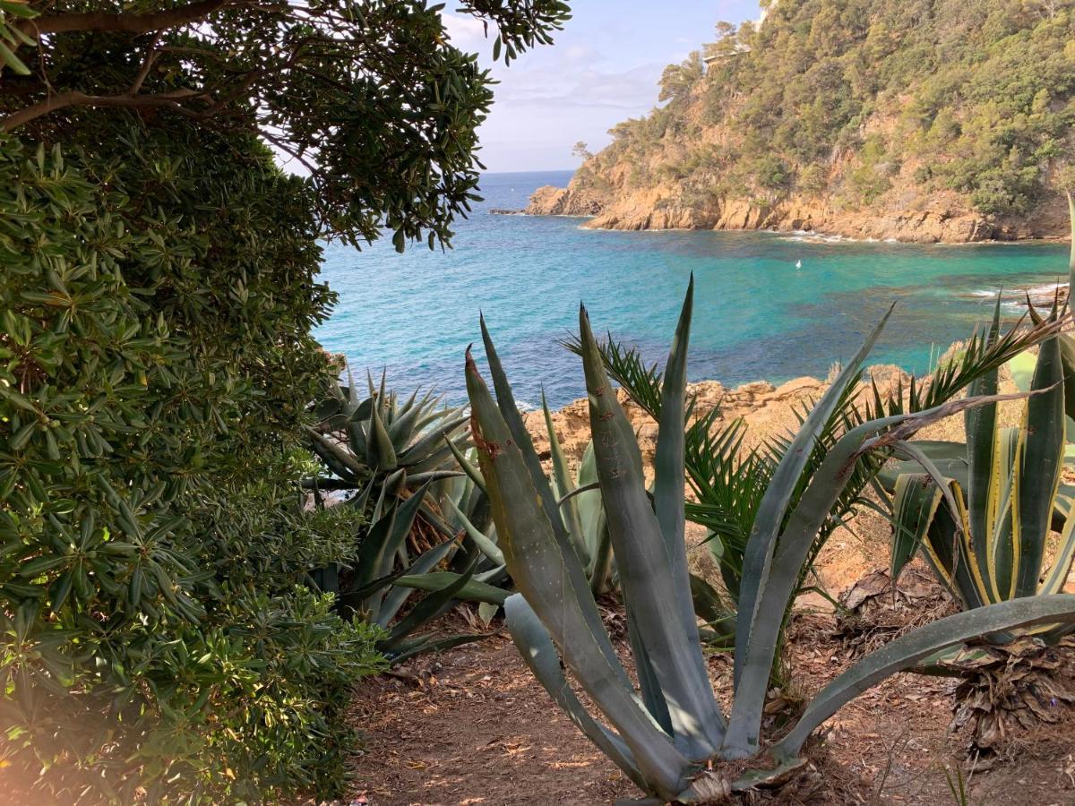 Un Havre De Paix Proche Du Centre Et Des Plages Cavalaire-sur-Mer Dış mekan fotoğraf
